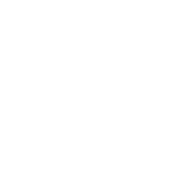 Vollyball